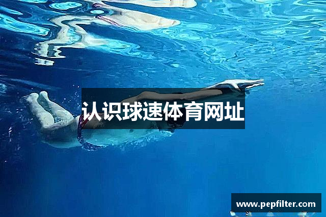 认识球速体育网址